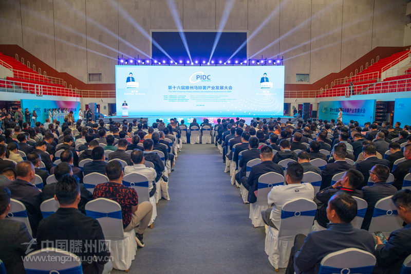 第十六屆滕州馬鈴薯產業發展大會召開